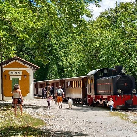 Milies Historic Chalet Pelion Miléai 外观 照片