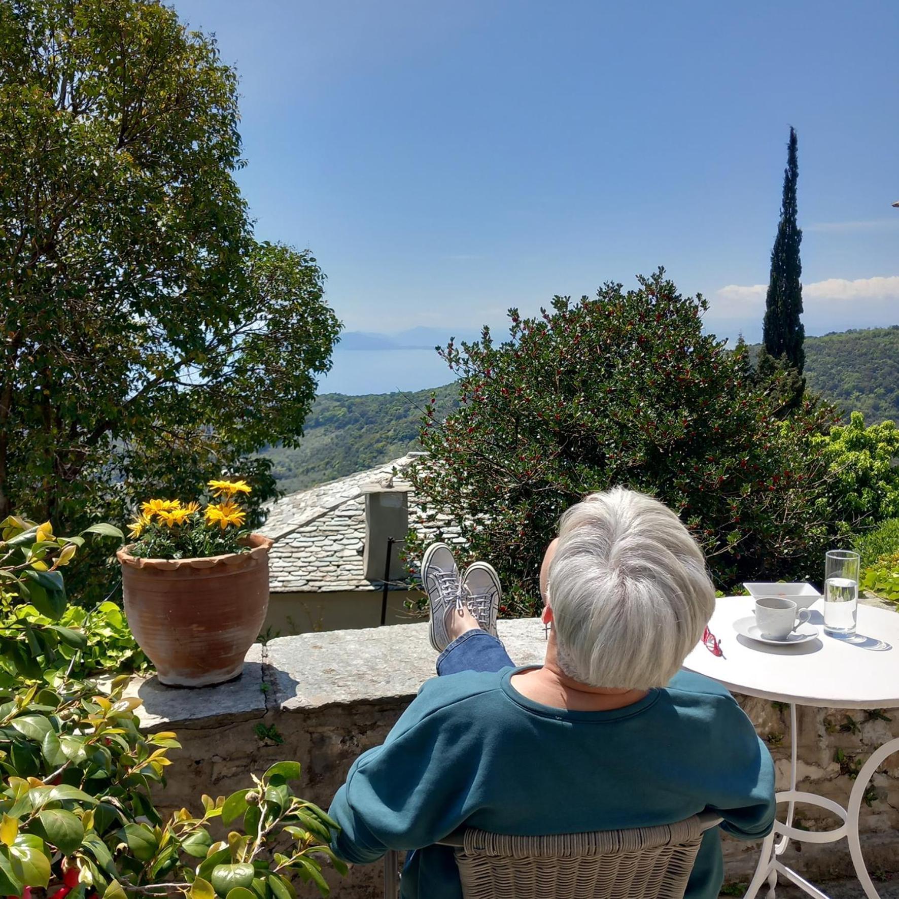 Milies Historic Chalet Pelion Miléai 外观 照片