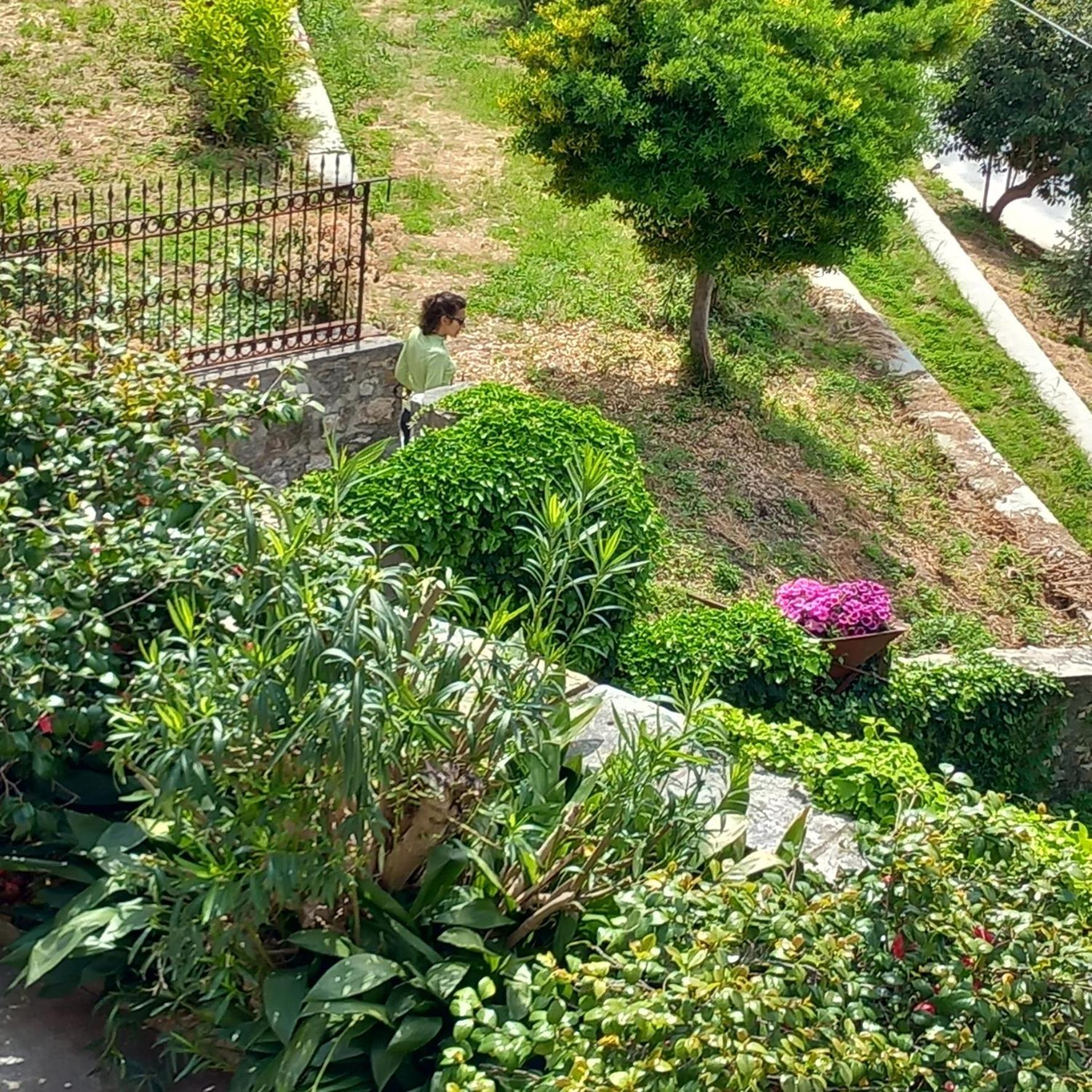 Milies Historic Chalet Pelion Miléai 外观 照片