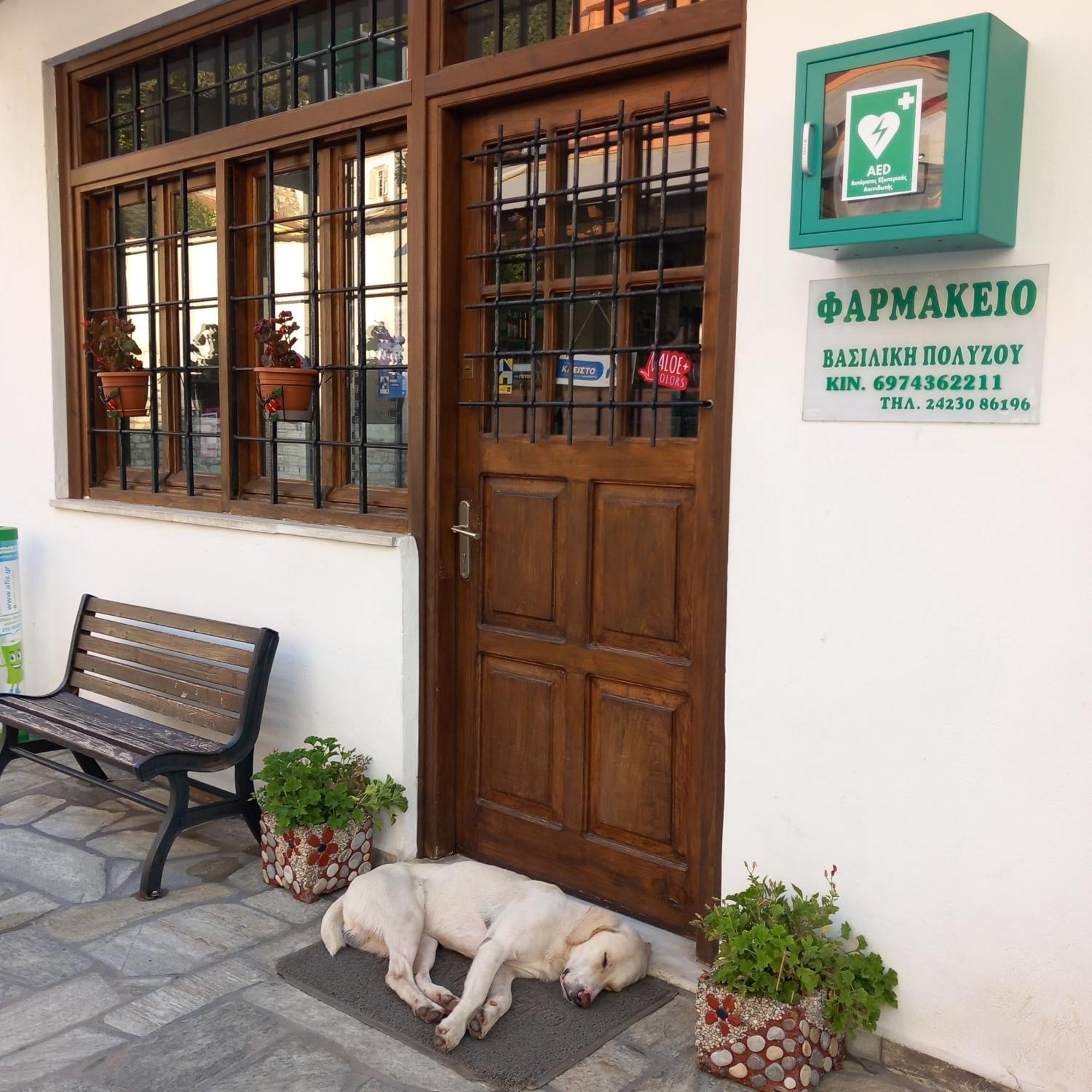Milies Historic Chalet Pelion Miléai 外观 照片