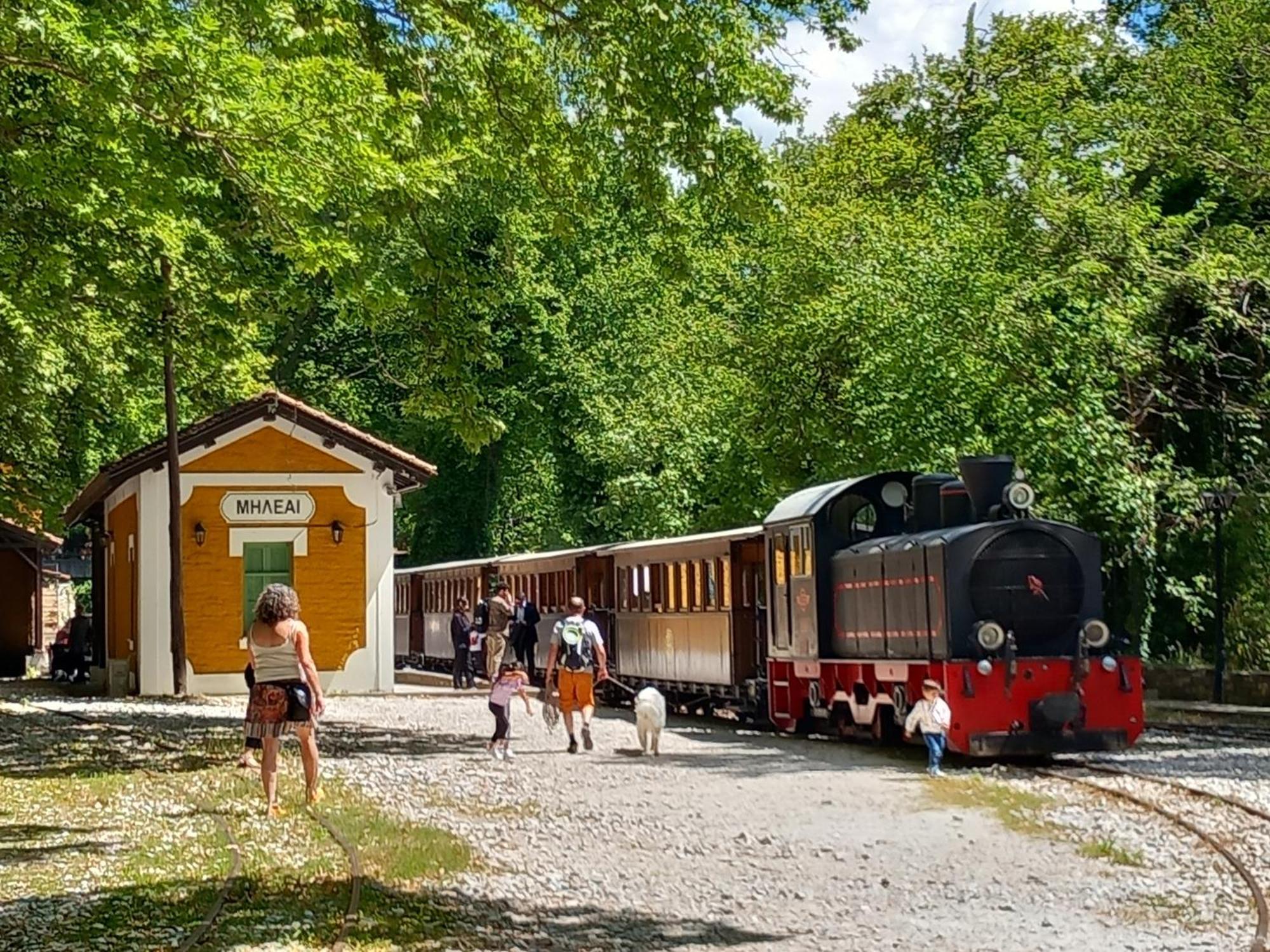 Milies Historic Chalet Pelion Miléai 外观 照片