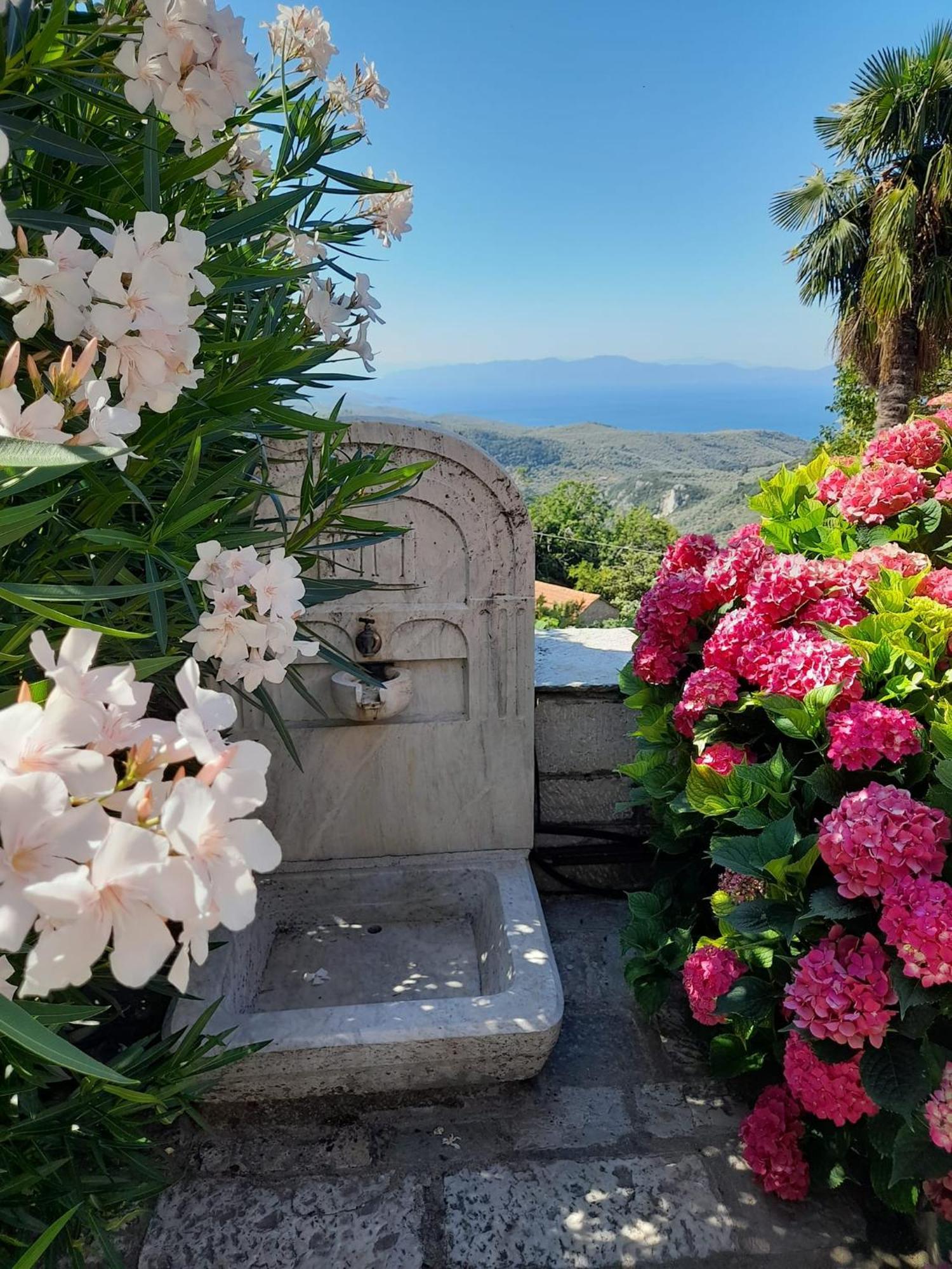 Milies Historic Chalet Pelion Miléai 外观 照片