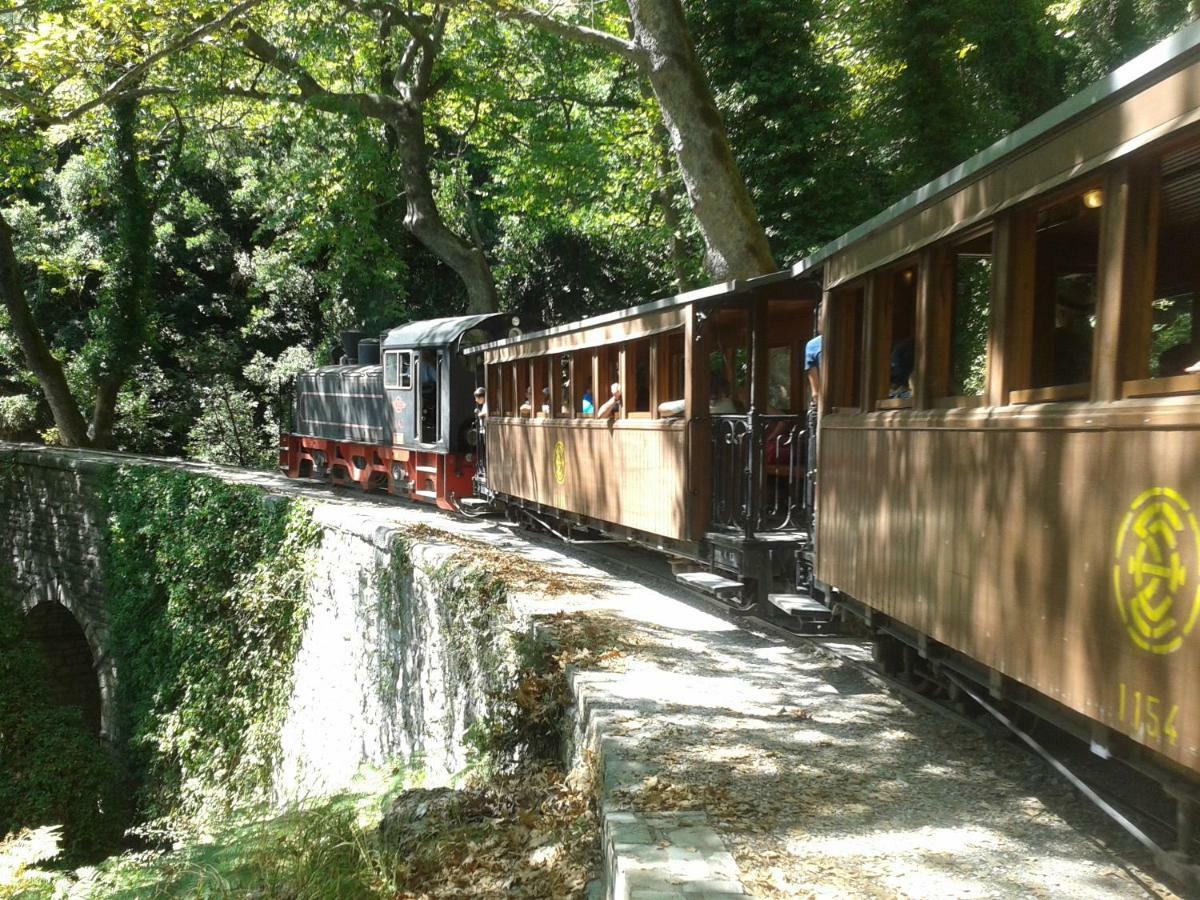 Milies Historic Chalet Pelion Miléai 外观 照片