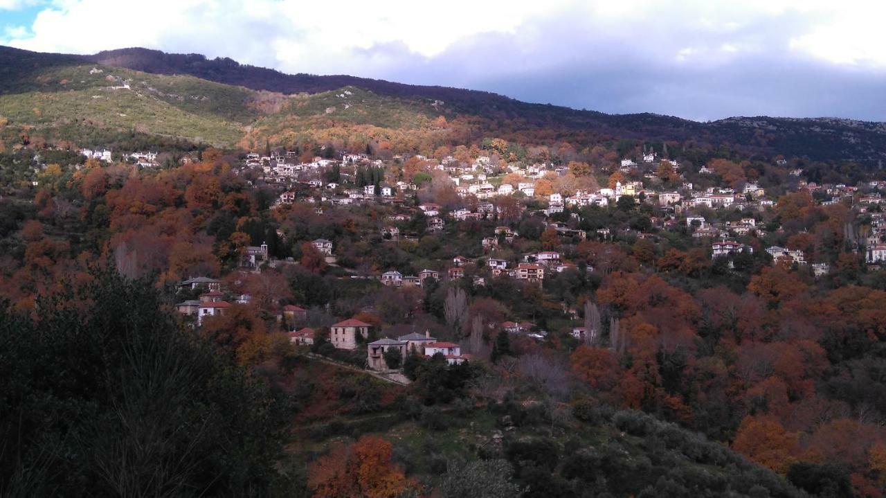 Milies Historic Chalet Pelion Miléai 外观 照片
